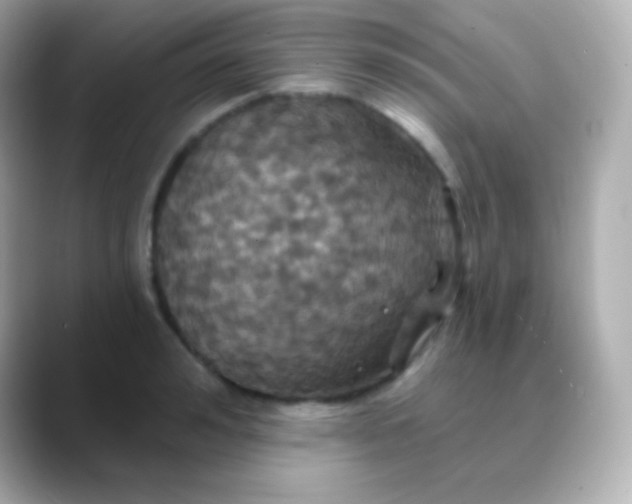 X0000088470992200706051339