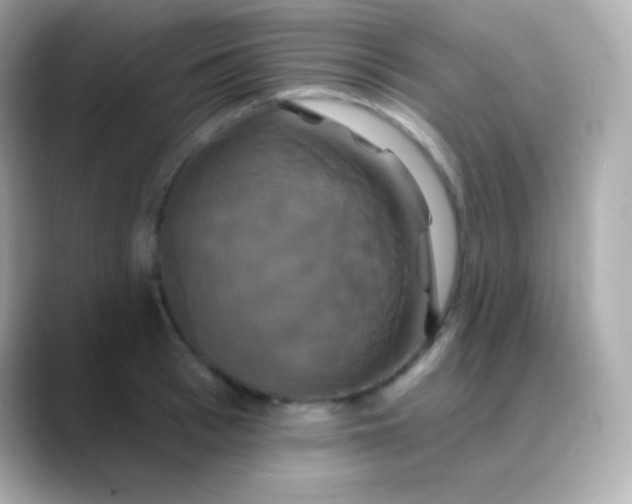 X0000088470993200706051339