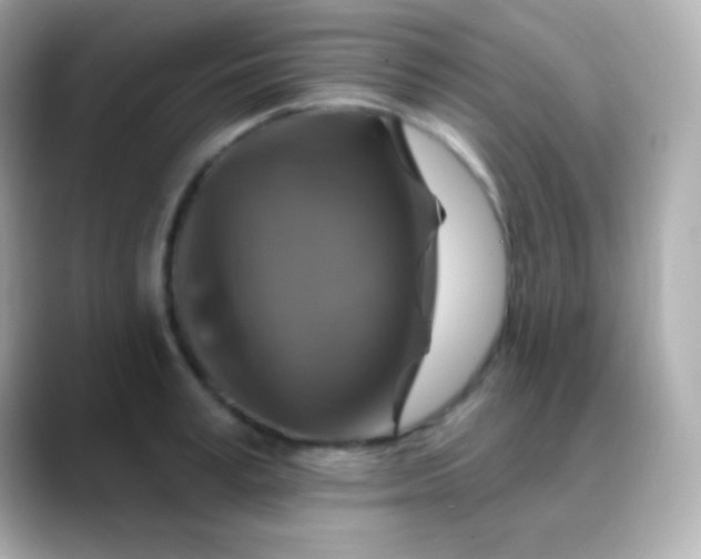 X0000088470995200706051339