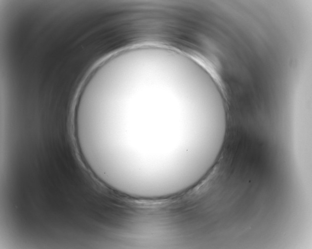 X0000088470996200706051339