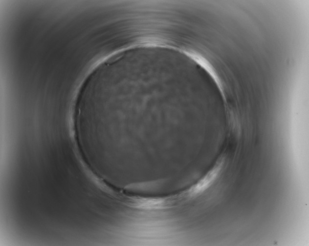 X0000088470997200706051339