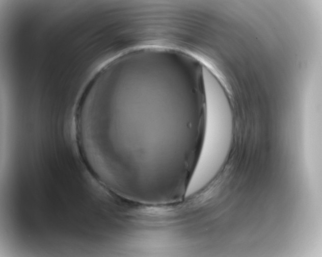 X0000088470998200706051339