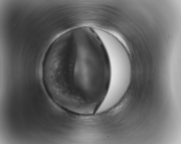 X0000088470999200706051339