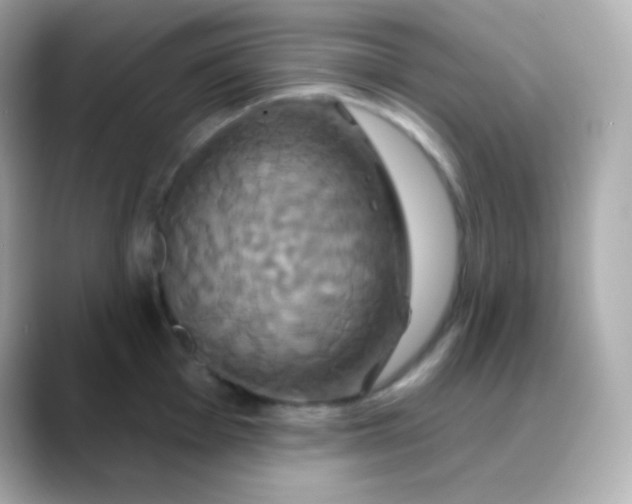 X0000088471001200706051339