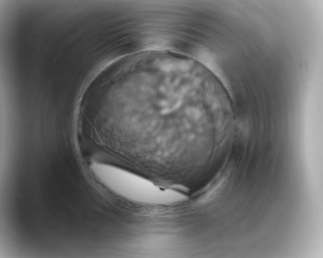 X0000088471002200706051339