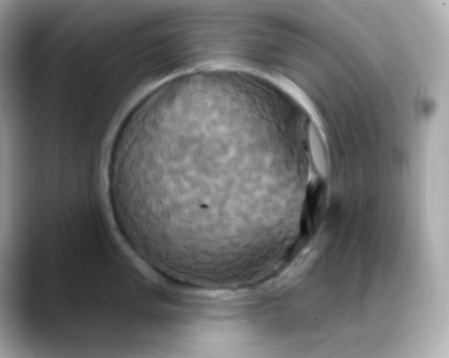 X0000088471005200706051339