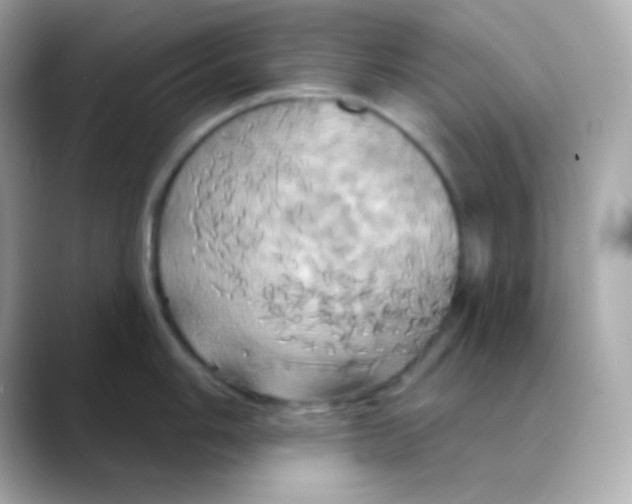 X0000088471006200706051339