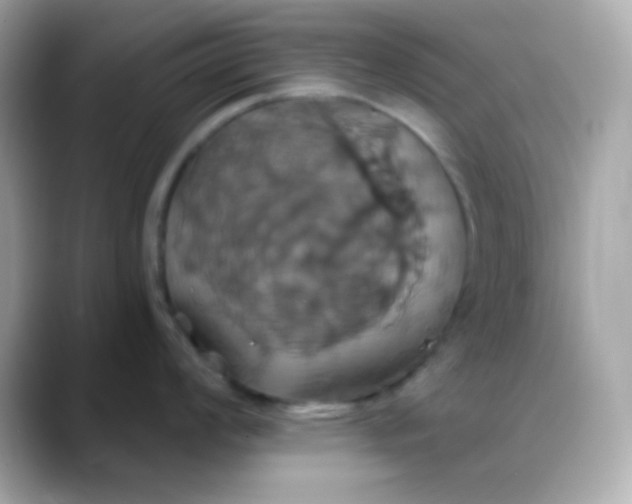 X0000088471008200706051339