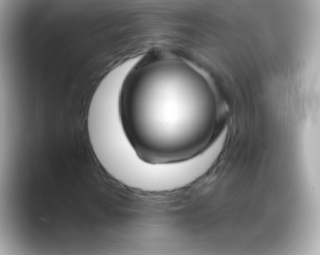 X0000088471010200706051338