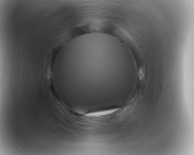 X0000088471011200706051338