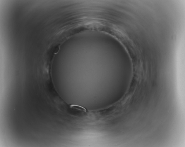 X0000088471013200706051338