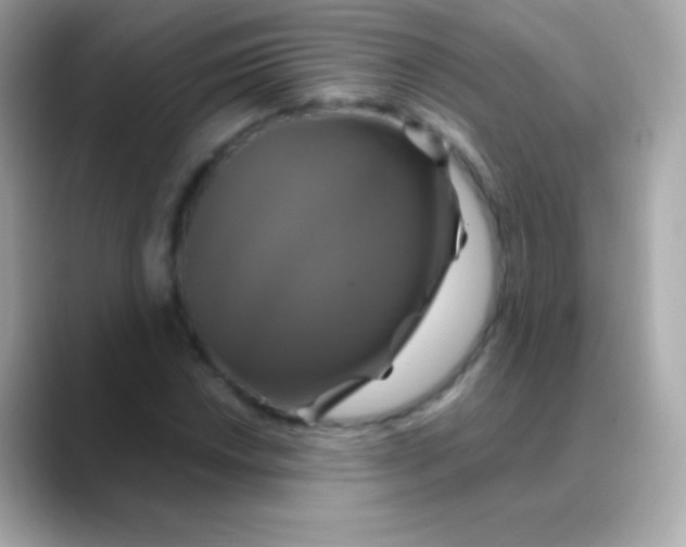 X0000088471018200706051338