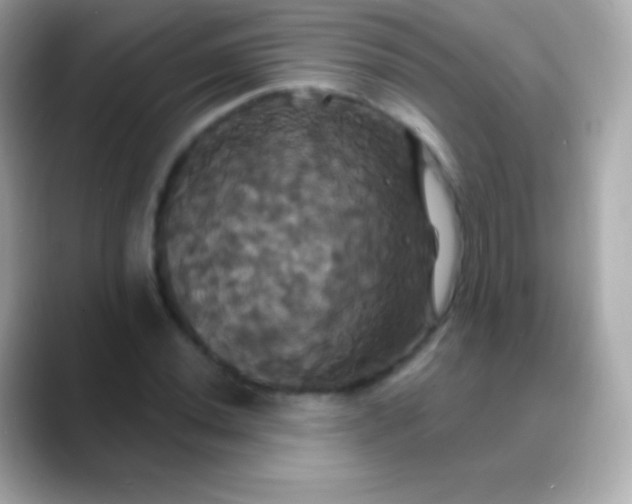 X0000088471020200706051338