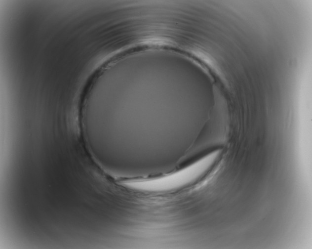 X0000088471022200706051338