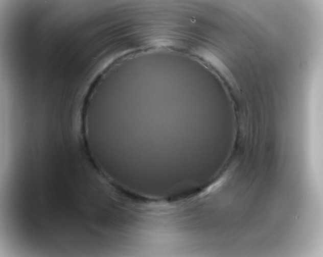 X0000088471023200706051338