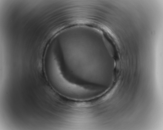 X0000088471025200706051338