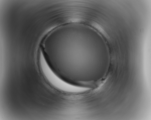 X0000088471026200706051338