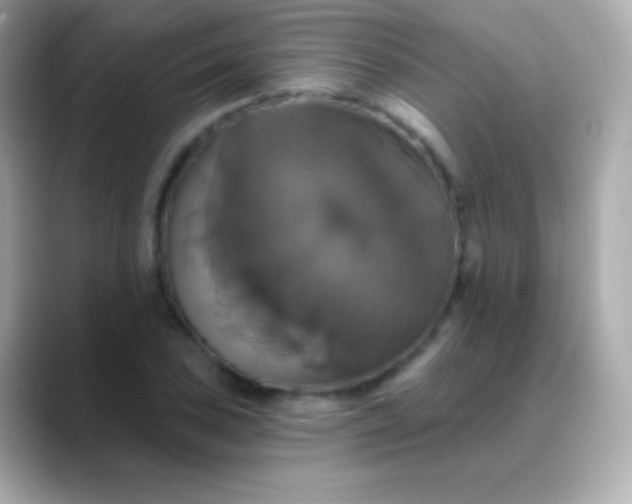 X0000088471027200706051338