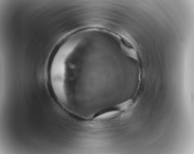 X0000088471028200706051338