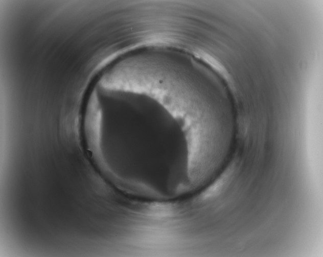 X0000088471029200706051338