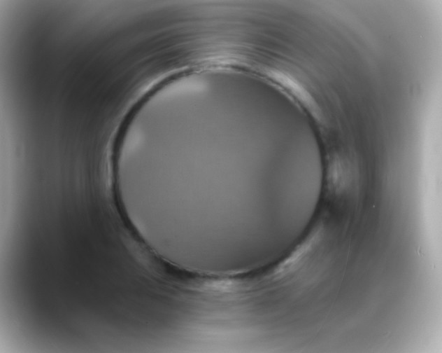 X0000088471031200706051338