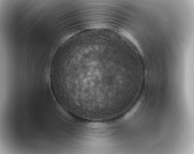 X0000088471033200706051338