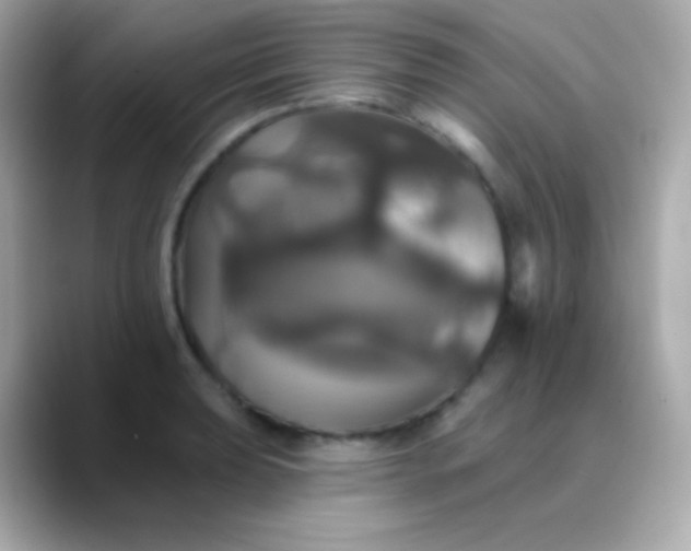 X0000088471039200706051338