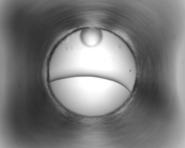 X0000088471040200706051338