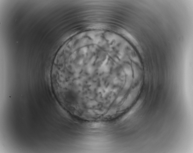 X0000088471041200706051338