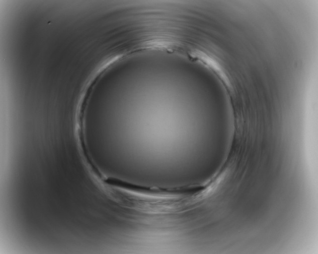 X0000088471042200706051338