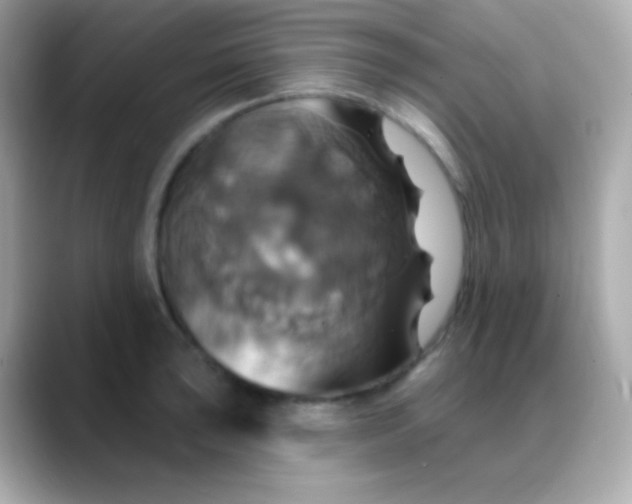 X0000088471043200706051338