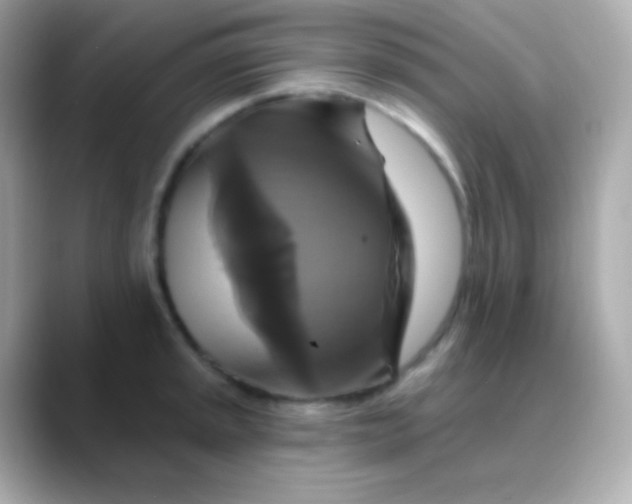 X0000088471045200706051338