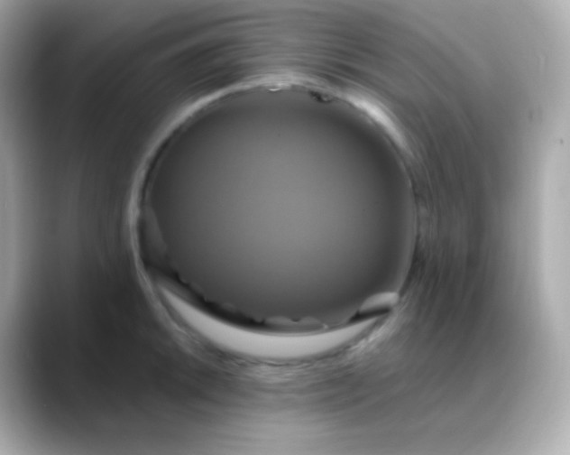 X0000088471046200706051338