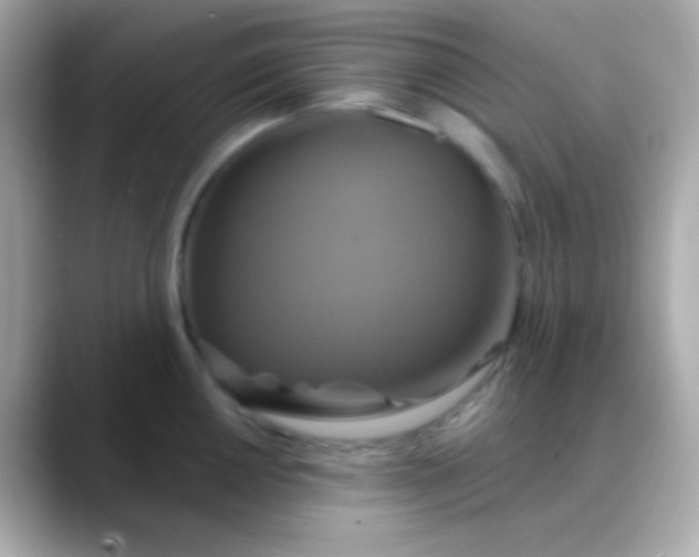 X0000088471050200706051339