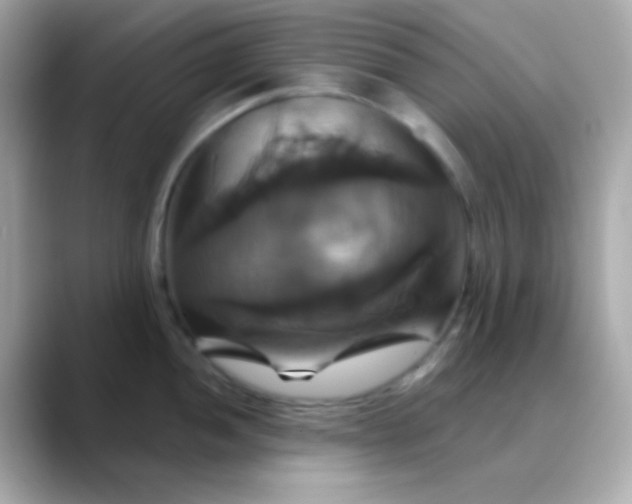 X0000088471052200706051339