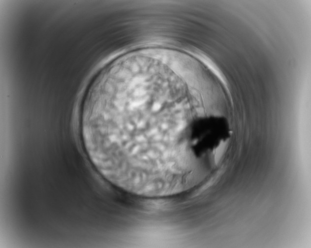 X0000088471053200706051339