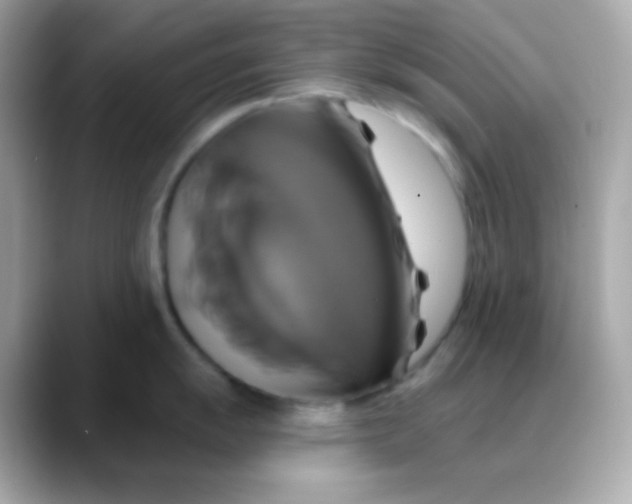 X0000088471055200706051339