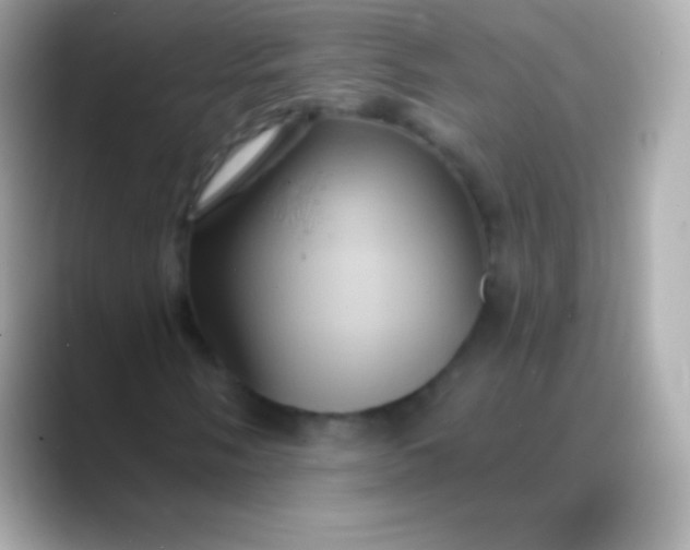 X0000088471058200706051338