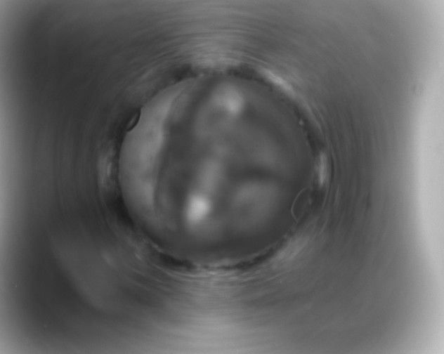 X0000088471059200706051338