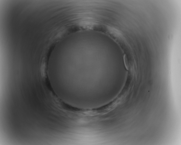 X0000088471060200706051338