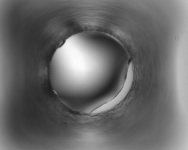 X0000088471061200706051338