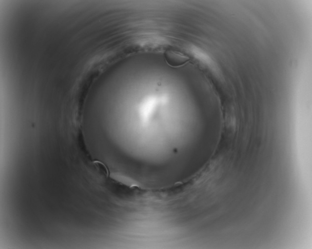 X0000088471063200706051338