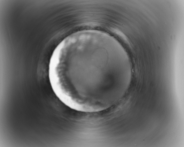 X0000088471064200706051338