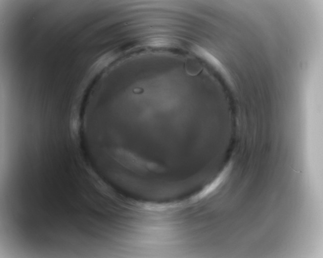 X0000088471065200706051338