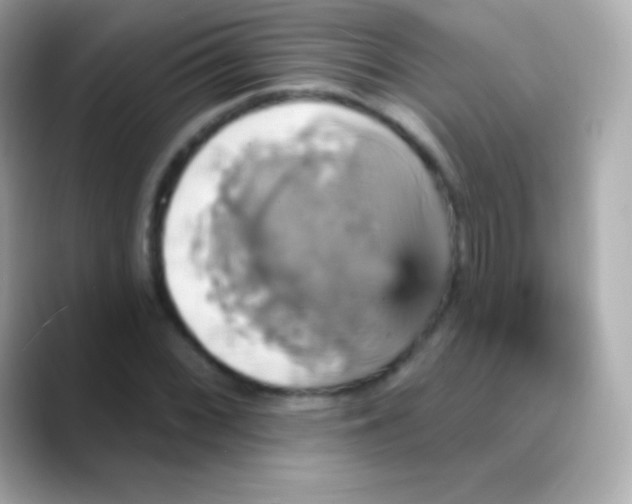 X0000088471068200706051338