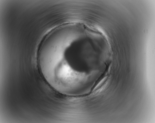 X0000088471071200706051338