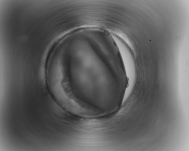 X0000088471072200706051338