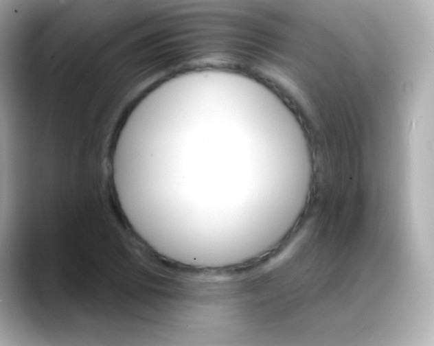 X0000088471073200706051338