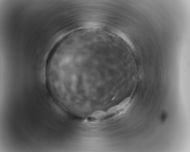 X0000088471075200706051338