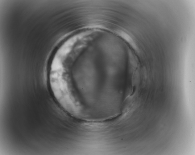 X0000088471076200706051338